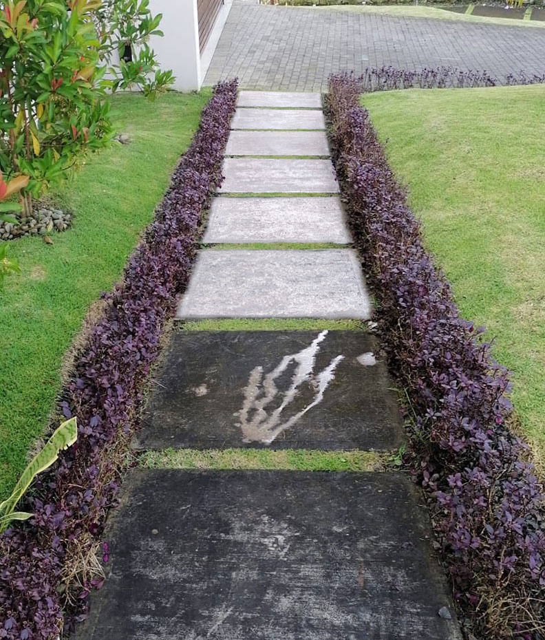 Venta o Alquiler de Equipos de Limpieza 1