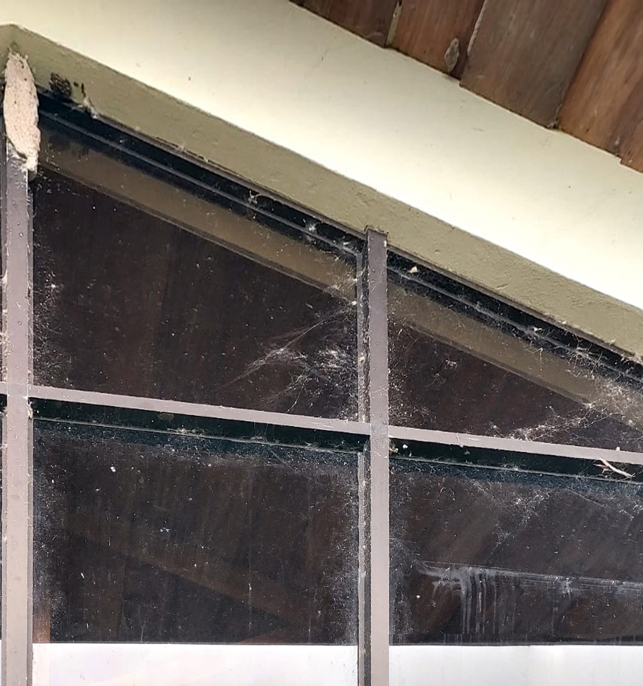 vidrios relucientes y elegantes