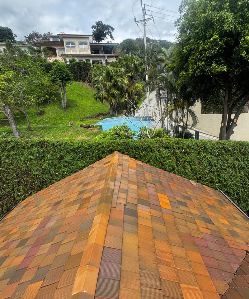 techo de teja limpio